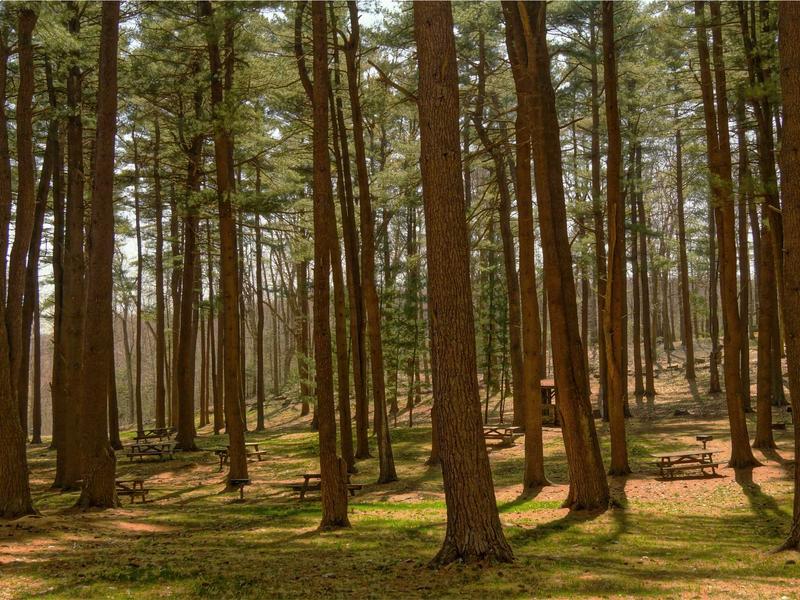 sudoku versus mode screenshot 4